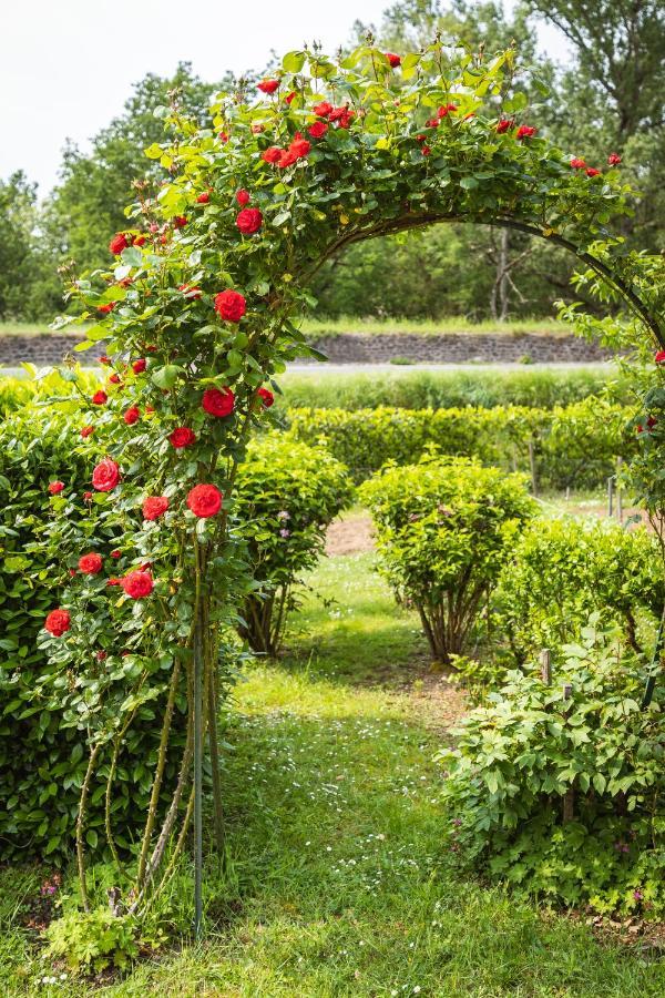 Clos Fleuri : Amboise Home With Amazing Gardens Exteriér fotografie